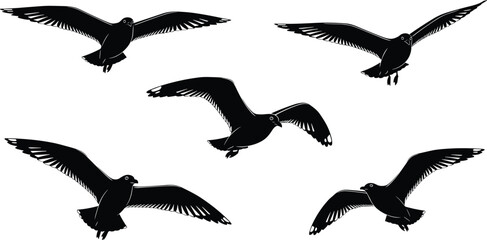 Set of Flying Seagulls Vector Silhouettes in Various Poses, Coastal Bird Collection, Black and White Marine Wildlife Icon Element Illustration Design.