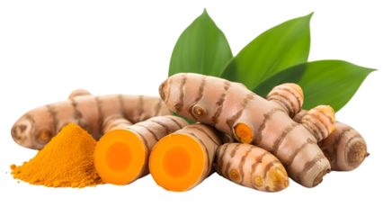 Fresh turmeric roots and leaves isolated on transparent background