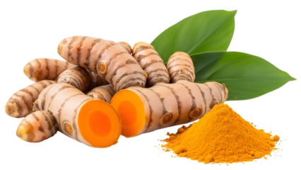 Turmeric roots and powder isolated on transparent background