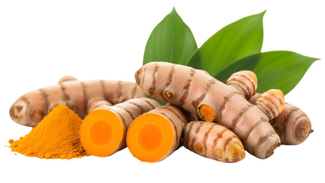 Fresh turmeric roots and leaves isolated on transparent background