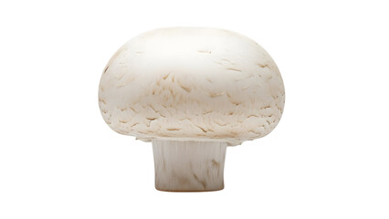 White button mushroom closeup isolated on transparent background