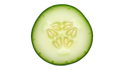 Cucumber slice close up isolated on transparent background