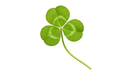 Green shamrock clover isolated on transparent background