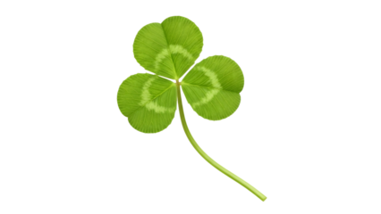 Green shamrock clover isolated on transparent background
