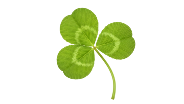 Fresh green three leaf clover isolated on transparent background - Powered by Adobe