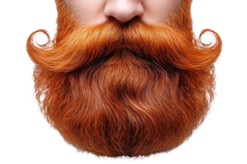 Fiery Ginger Beard Portrait Majestic Mustache Styles Grooming Inspiration Facial Hair Trends Male