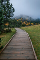 Obraz premium Wooden Boardwalk into Autumn Forest Mist Sant Maurici Aiguestortes National Park