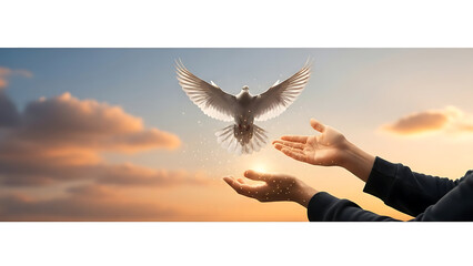 Man praying and free bird enjoying nature on sunset background, hope concept .