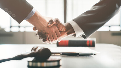 Businesswoman shaking hands with male lawyer