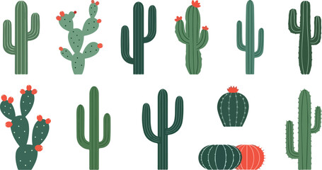 Collection of Stylized Cactus Illustrations Perfect for Desert Themes and Botanical Designs