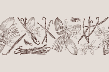 Vanilla hand drawn seamless border