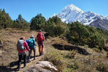 Group of backpackers trekking through pine forest to Everest Base Camp, snow-capped peak of Ama Dablam dominating background in Nepal Himalayas.