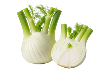 Two fresh fennel bulbs, one whole with vibrant green fronds, one precisely cut revealing layered interior, on a transparent background with copy space. High-end commercial product concept