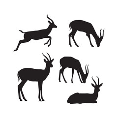 Gazelle Silhouettes Collection, Gazelle Silhouette, Wild Animal Vector, Wildlife Illustration
