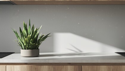 Minimalist Kitchen Counter with Green Plant and Natural Light