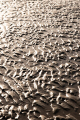 Ondulations sur le sable humide à la lumière du soir, format vertical