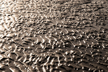 Ondulations sur le sable humide à la lumière du soir, format paysage