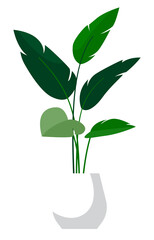 A simple illustration of a plant with green leaves in a white pot on transparent background . PNG