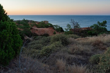 Eroded coastal terrain with rugged formations, native plants and open water during blue hour. Great for travel campaigns, environmental education, mapping resources and editorial use.