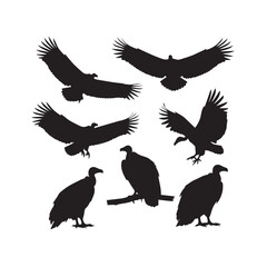 Vulture Silhouettes Collection, Vulture Silhouette, Wild Bird Vector, Wildlife Illustration