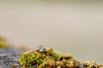 Elegant diamond ring resting on vibrant green moss, showcasing intricate details and sparkling brilliance, surrounded by a soft blurred background, perfect for nature-inspired jewelry photography