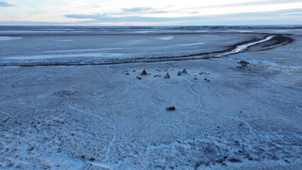 Siberia Nenets photo drone of the samoyedos desert in Yamal Russia © pau