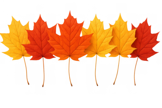 Autumn maple leaves in a row, realistic seasonal foliage design elements, red, orange, and yellow colors - Powered by Adobe