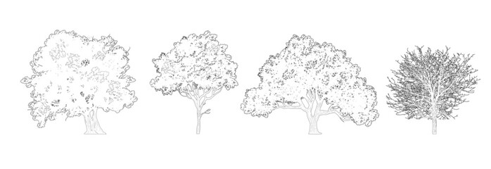 Minimalistic cad tree line drawing, Silhouette tree, Outline tree set, side view graphic elements for landscape design and architectural drawing, isolated - vector illustration