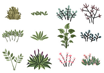 plant and leaf vector collection in doodle style