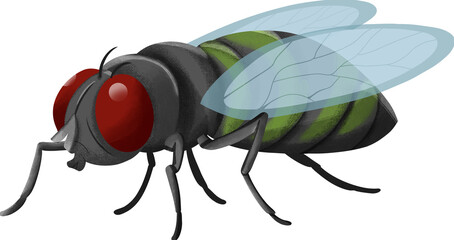Vibrant Illustrated Housefly With Glossy Red Eyes And Translucent Blue Wings Against A Clean White