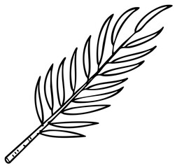 Fototapeta premium Palm Frond Drawing, Line Art Illustration of Botanical Plant Element