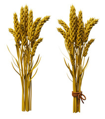 3d render with bunches of wheat, isolated on transparent or white background.