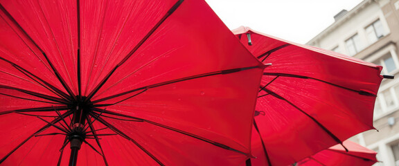 Vibrant red umbrellas open in the rain on a city street. A low angle close-up view from underneath. Weather protection concept