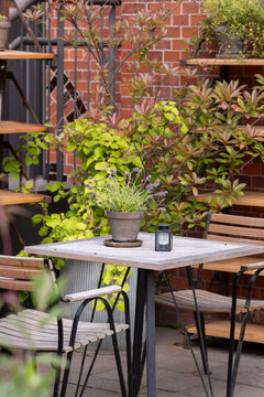 A quaint outdoor setup with a wooden table, a potted plant, and rustic chairs against a backdrop of lush greenery. Perfect for relaxation and enjoying nature's beauty.