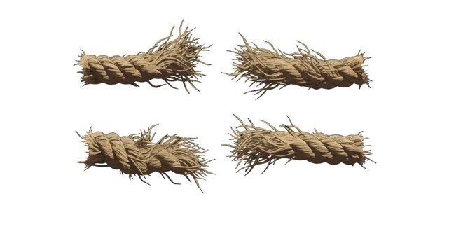 Illustrative rendering of frayed rope segments on a clean, white canvas