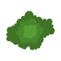 Tree or bush for architectural floor plans. Entourage design. Tree, bush, and shrub, top view for the landscape design plan