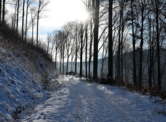 Ścieżka w g&oacute;rach na szlaku turystycznym