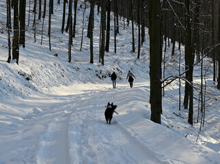 Ścieżka w g&oacute;rach na szlaku turystycznym