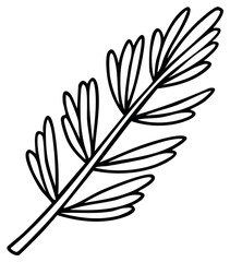 Fototapeta premium Outline Drawing of a Leafy Sprig, Botanical Sketch of Branch and Leaves, Simple Illustration