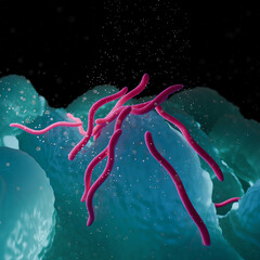 3D Illustration of Borrelia burgdorferi Bacteria &ndash; Lyme Disease Spirochete in Microscopic Tissue Environment