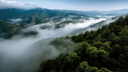 Paysage montagneux couvert de brouillard avec forêt verdoyante