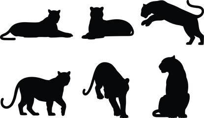 Black panther silhouette set with dynamic poses, wild cat shadow collection for logo design, branding, tattoo, and stock illustration vector