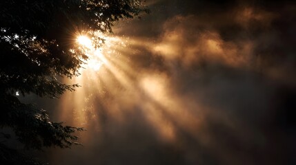 Golden sunbeams dramatically break through dense swirling mist in a dark silhouetted forest during early morning sunrise