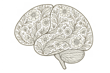 Brain with floral pattern representing mental growth, well-being, psychology, mind health, and creative thinking on transparent background