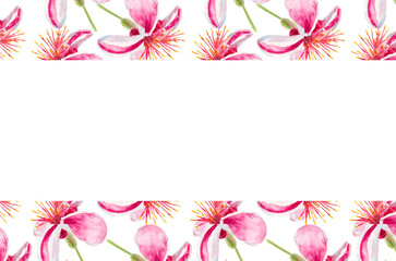 Pink flower. Feijoa watercolor flowers. Template for invitation, greeting card, label, banner with place for text with feijoa flowers. Watercolor hand drawn rectangular illustration with copy space