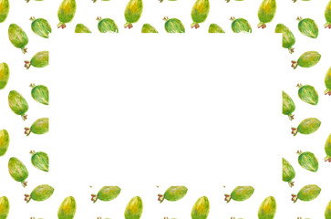 Feijoa. Template for invitation, greeting card, label, banner with place for text with feijoa leaves, buds, fruits. Watercolor hand drawn rectangular illustration with copy space