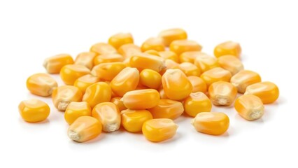 Fototapeta premium A small heap of vibrant yellow, dried popcorn kernels piled on a clean white surface