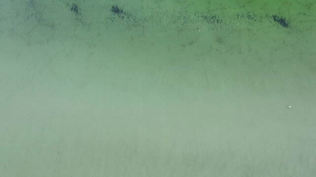 Minimal aerial view of shallow green sea water with abstract dark algae patterns and textured ripples.