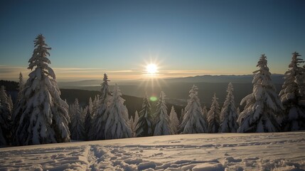 Snowy evergreen trees glowing softly in morning sunlight across tranquil winter mountain scenery