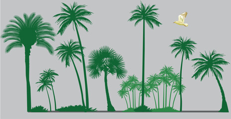 Palmen Kollektion Hintergrundmotiv,  Illustration